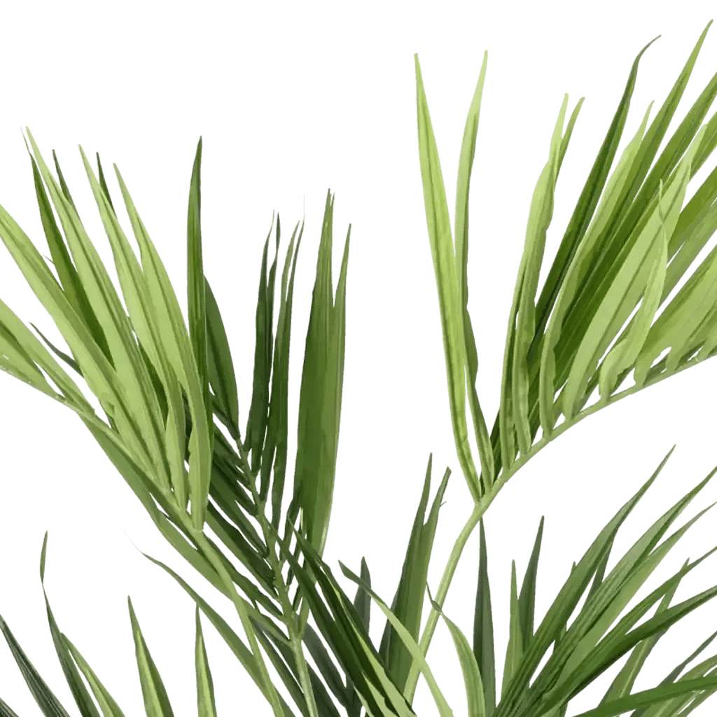 Closeup af Kunstig Kentia palme H: 120 cm.