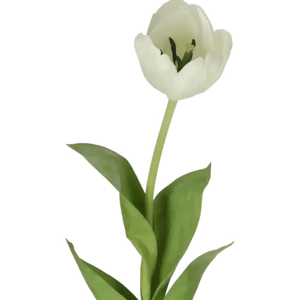 Closeup af Kunstig Tulipan L: 68 cm.