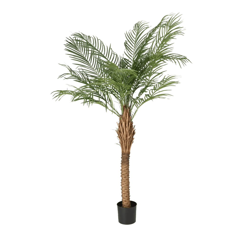 Kunstig Phoenix palme H: 150 cm.
