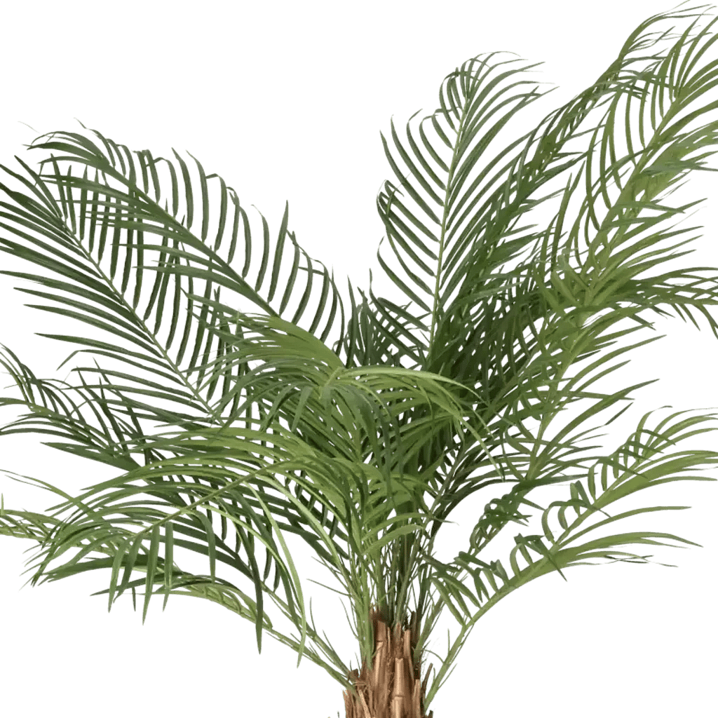 Closeup af Kunstig Phoenix palme H: 150 cm.