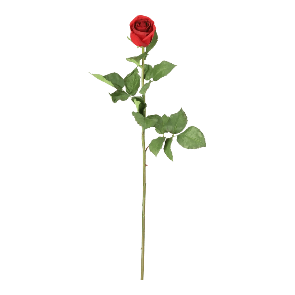 Kunstig rød Rose stilk - L: 75 cm.