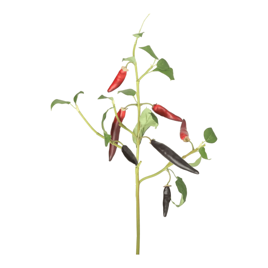 Kunstig Chili L: 50 cm.