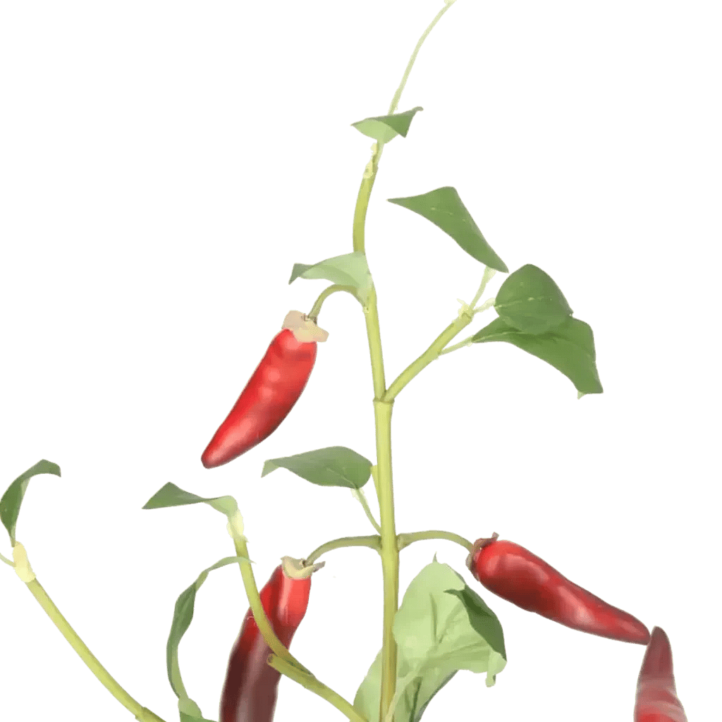 Closeup af Kunstig Chili L: 50 cm.