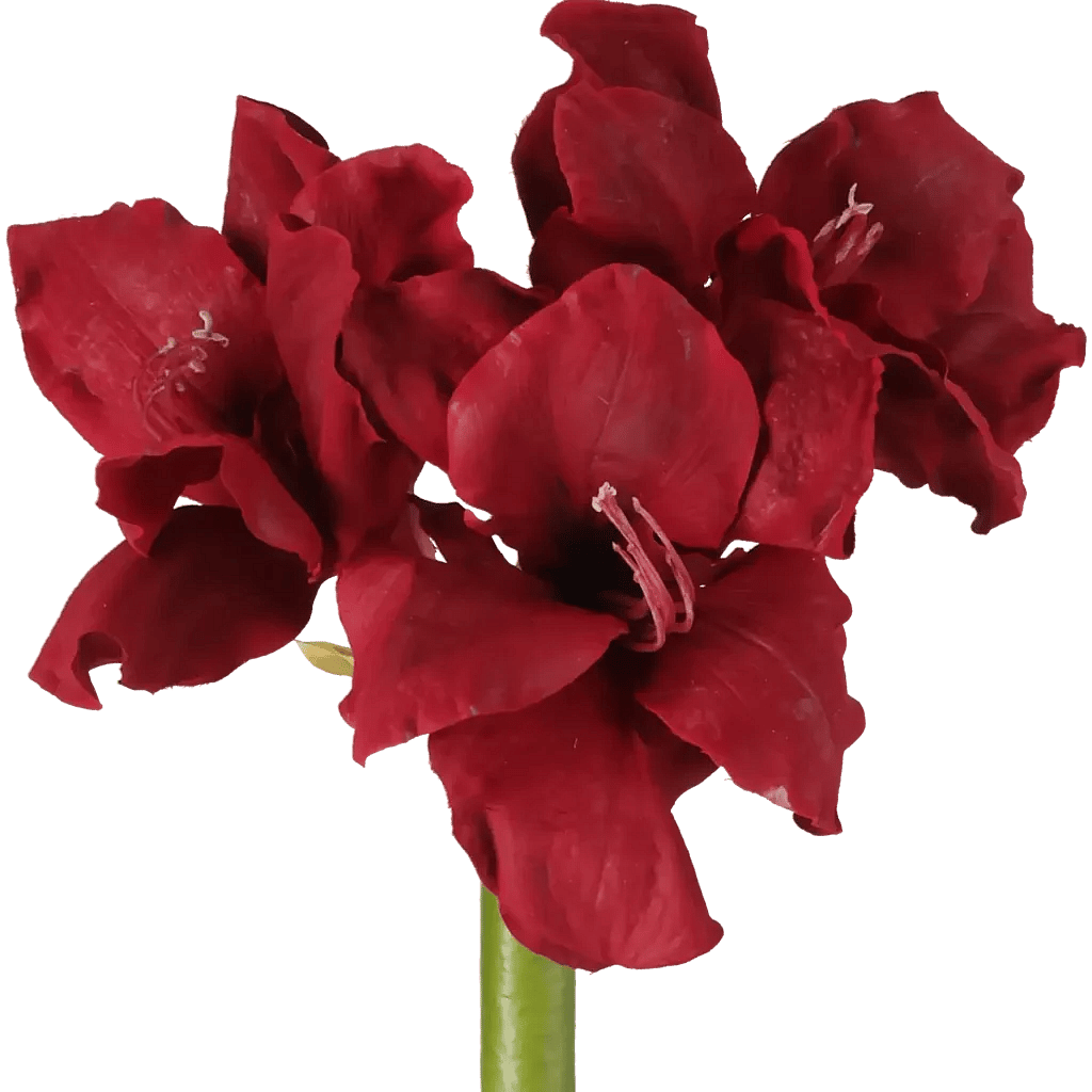 Closeup af Kunstig Amaryllis L: 75 cm.