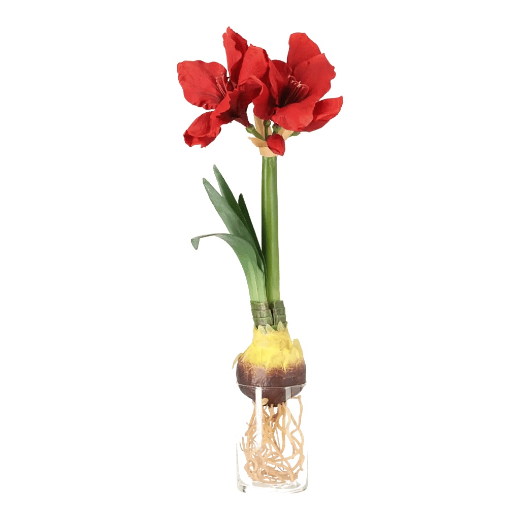 Kunstig Amaryllis m. rod L: 50 cm.