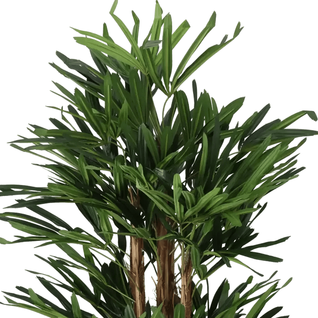 Closeup af Kunstig Rhaphis palme H: 140 cm.