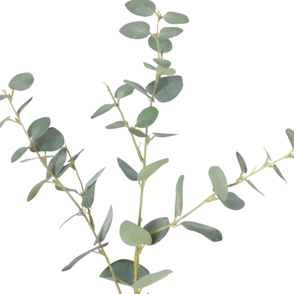 Closeup af Kunstig eukalyptus stilk i grøn - L: 80 cm.