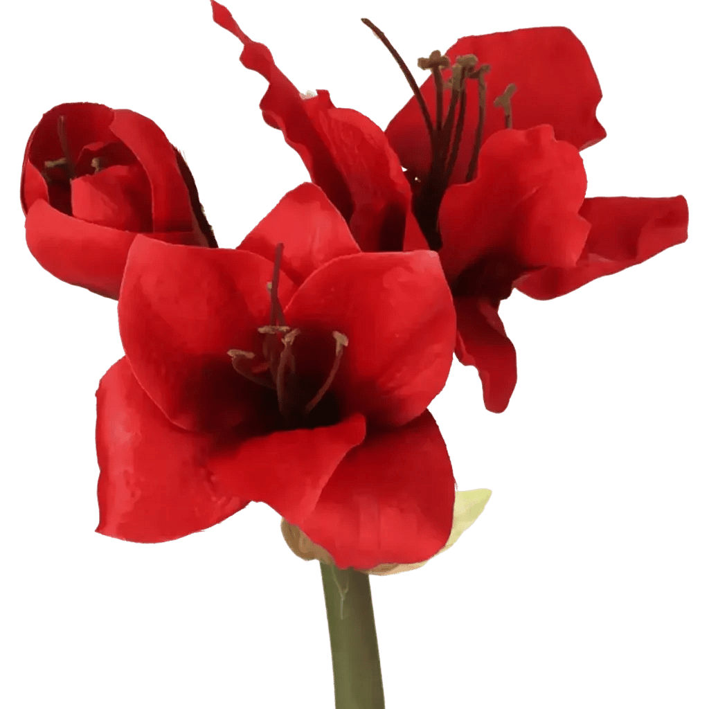 Closeup af Kunstig Amaryllis L: 50 cm.