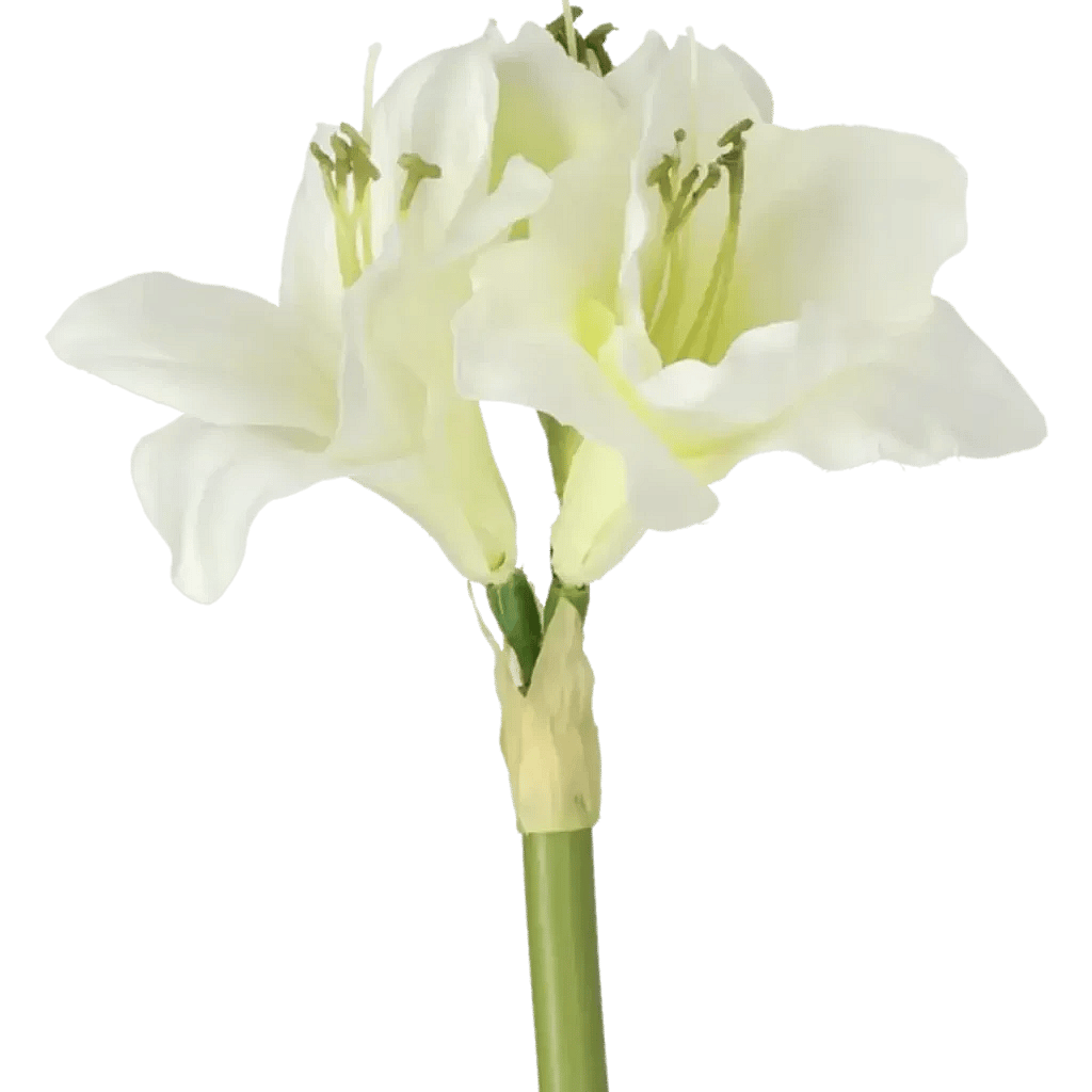 Closeup af Kunstig Amaryllis L: 50 cm.