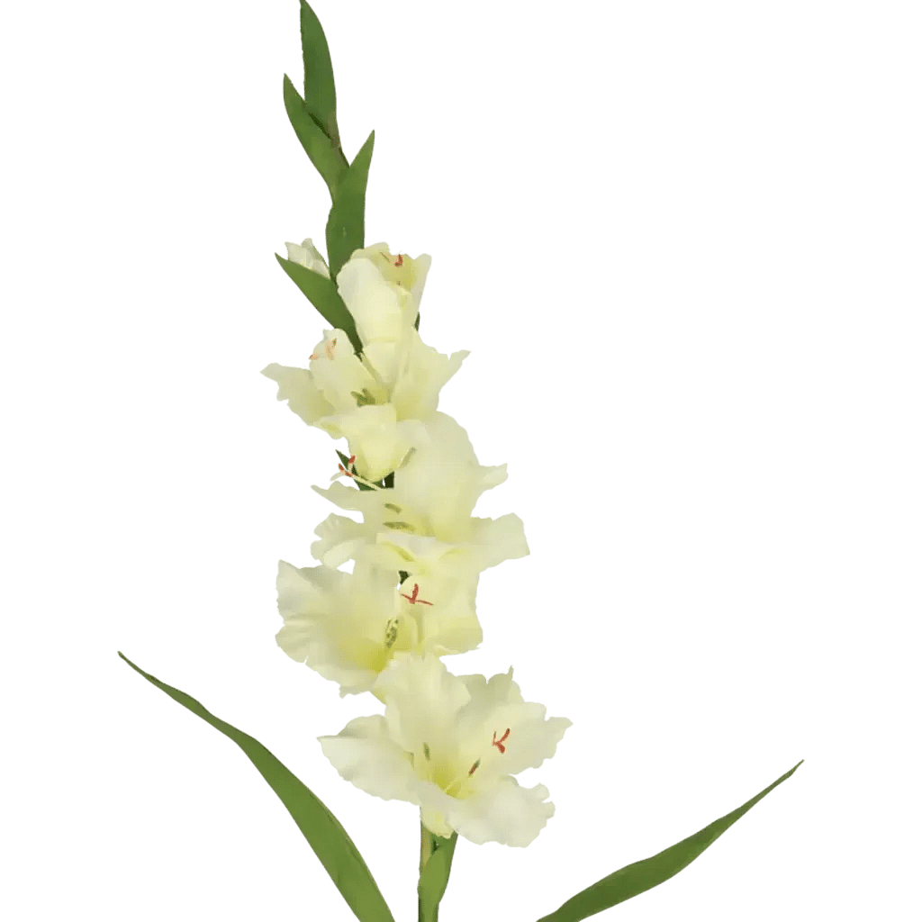 Closeup af Kunstig Gladiolus L: 75 cm.