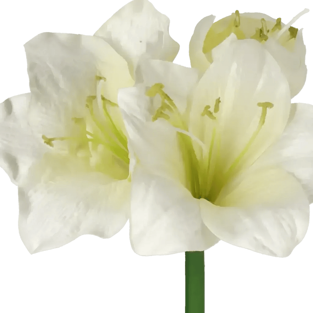 Closeup af Kunstig Amaryllis L: 49 cm.