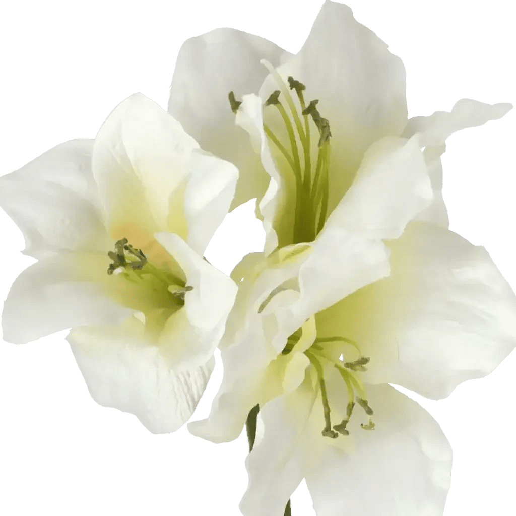 Closeup af Kunstig Amaryllis stilk i creme L: 60 cm.