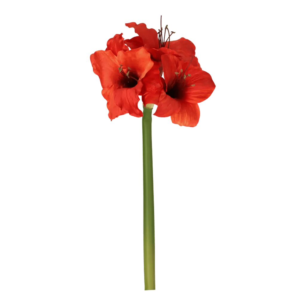 Kunstig Amaryllis stilk i rød - L: 60 cm.