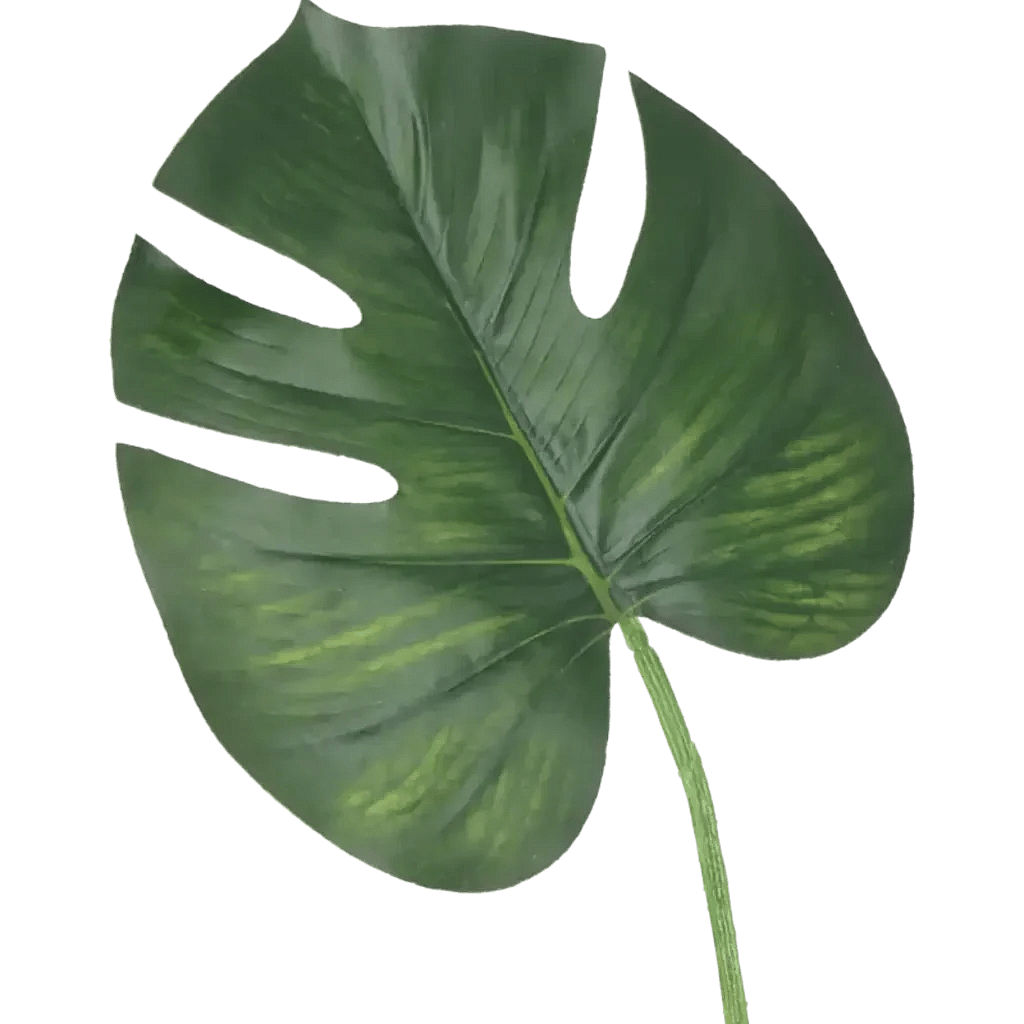 Closeup af Kunstig Monstera blad L: 60 cm.
