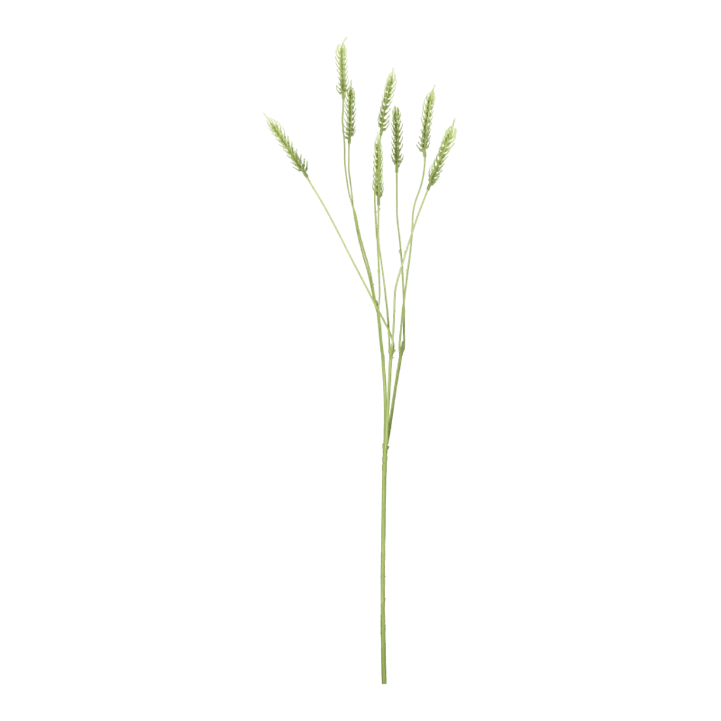Kunstig hvede stilk x 8 i grøn - L: 98 cm.