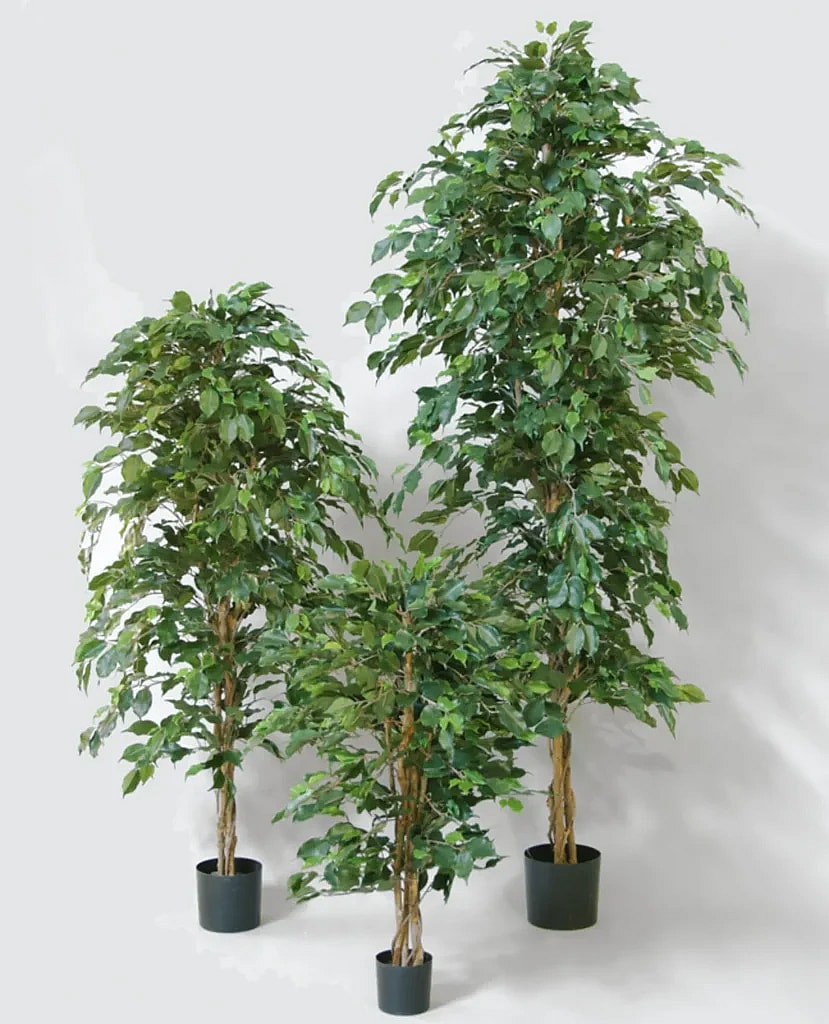 Kunstig Ficus H: 160 cm.