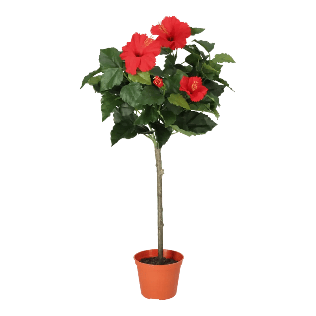 Kunstig Hibiscus opstammet H: 66 cm.