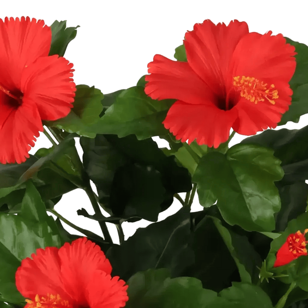 Closeup af Kunstig hibiscus rød H: 42 cm.