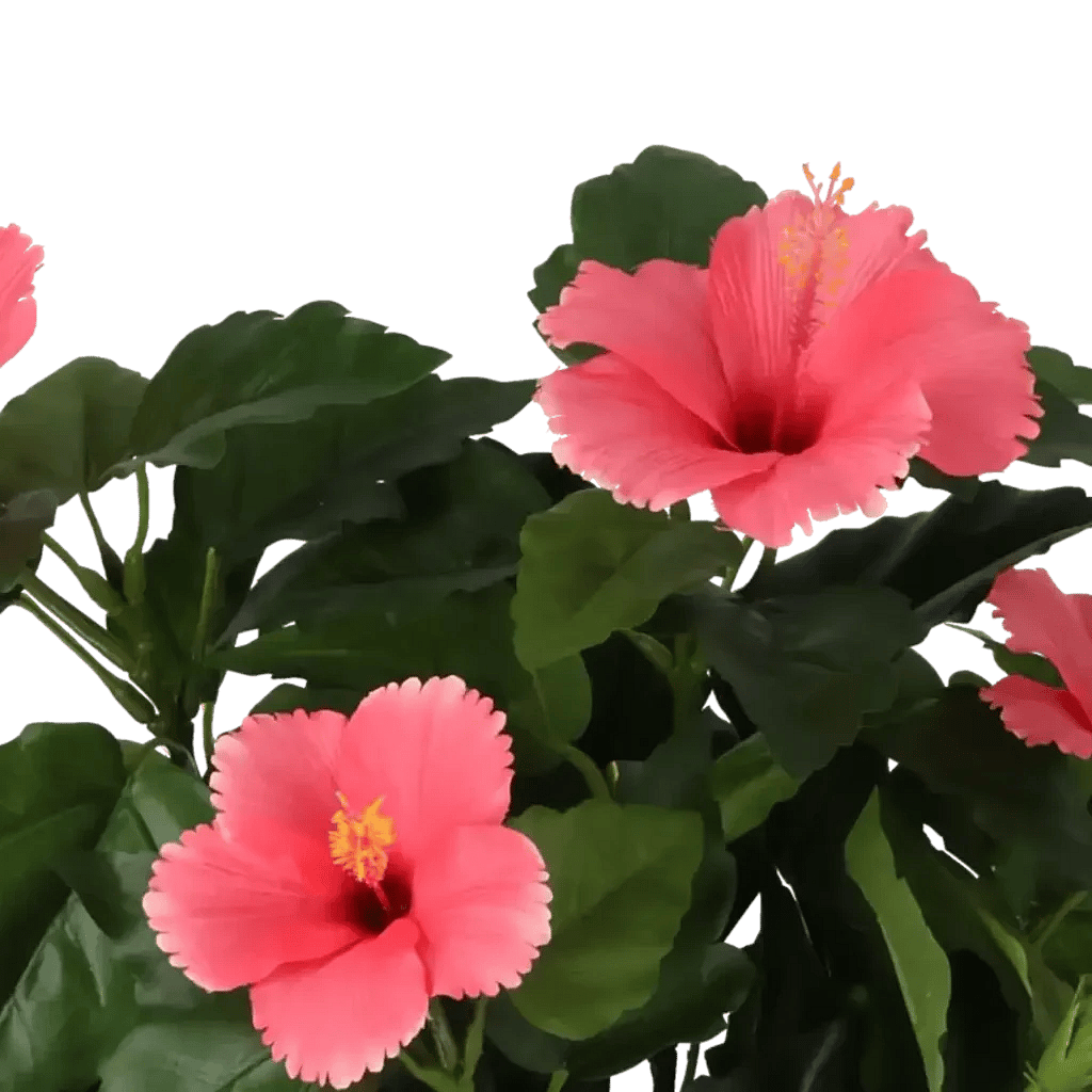 Closeup af Kunstig hibiscus pink H: 42 cm.