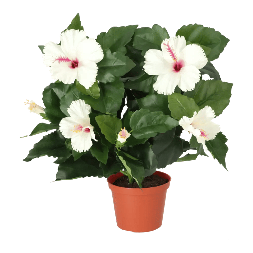 Kunstig hibiscus beige - H: 42 cm.