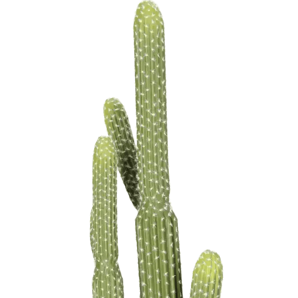 Closeup af Kunstig Søjlekaktus H: 91 cm.