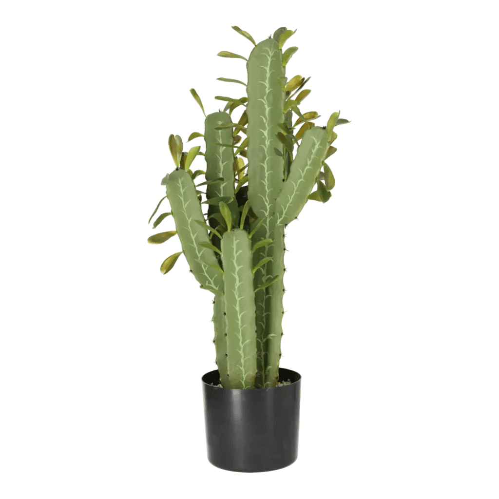 Kunstig kaktus plante H: 76 cm.