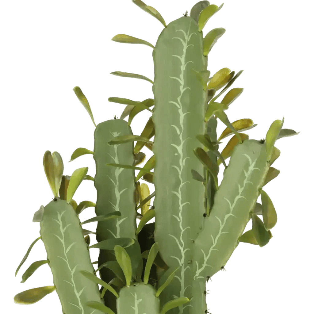Closeup af Kunstig kaktus plante H: 76 cm.