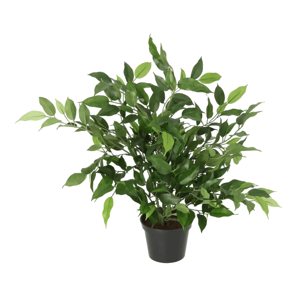 Kunstig Ficus Natasja H: 31 cm.