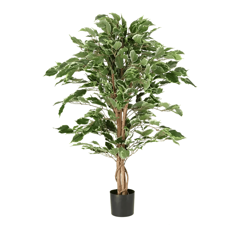 Kunstig Ficus Golden H: 110 cm.