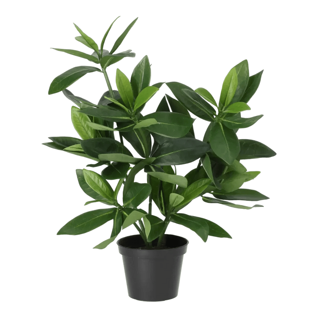 Kunstig Guava H: 38 cm.
