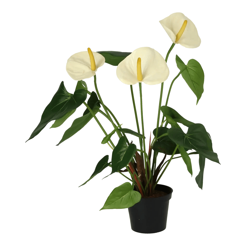 Kunstig Anthurium H: 42 cm.