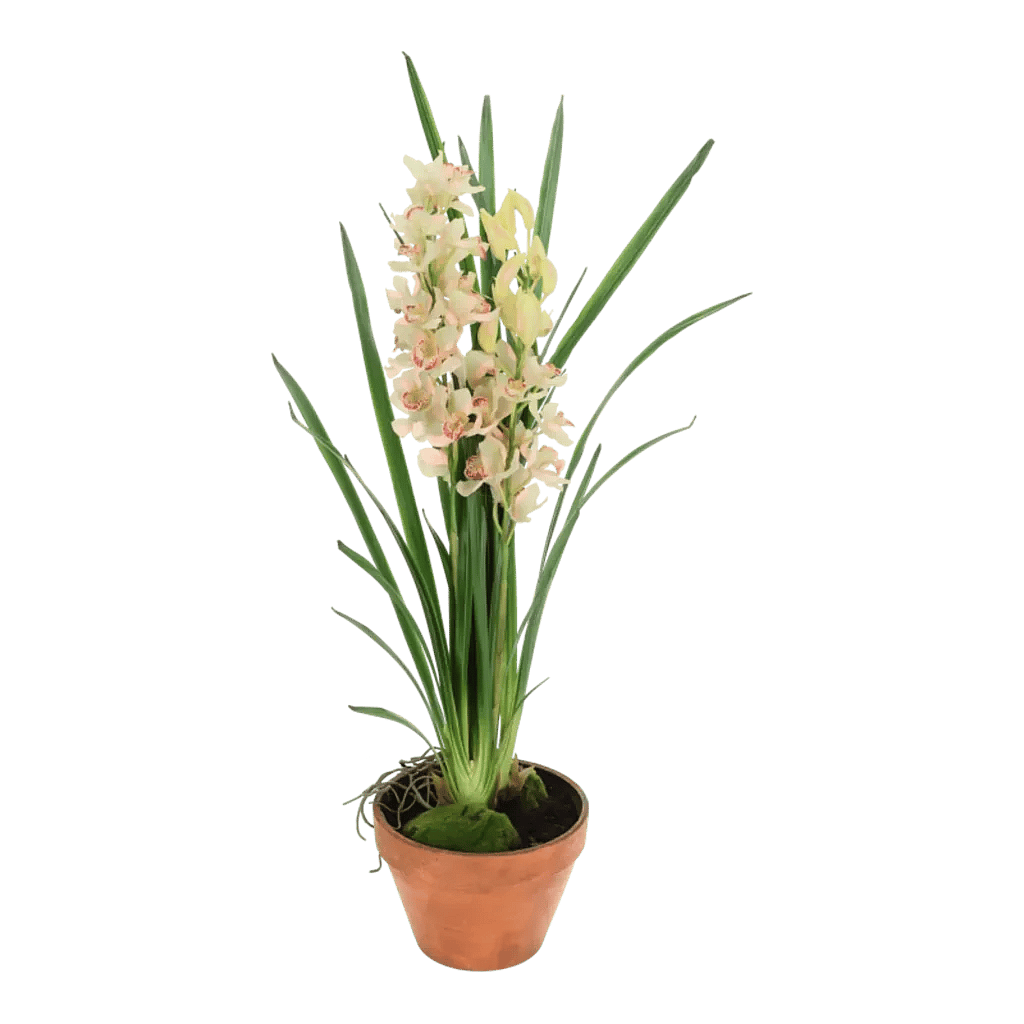 Kunstig Cymbidium H: 115 cm.
