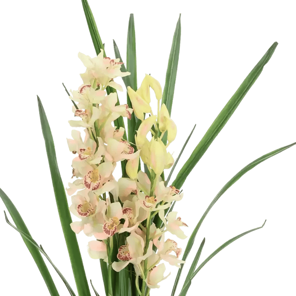 Closeup af Kunstig Cymbidium H: 115 cm.