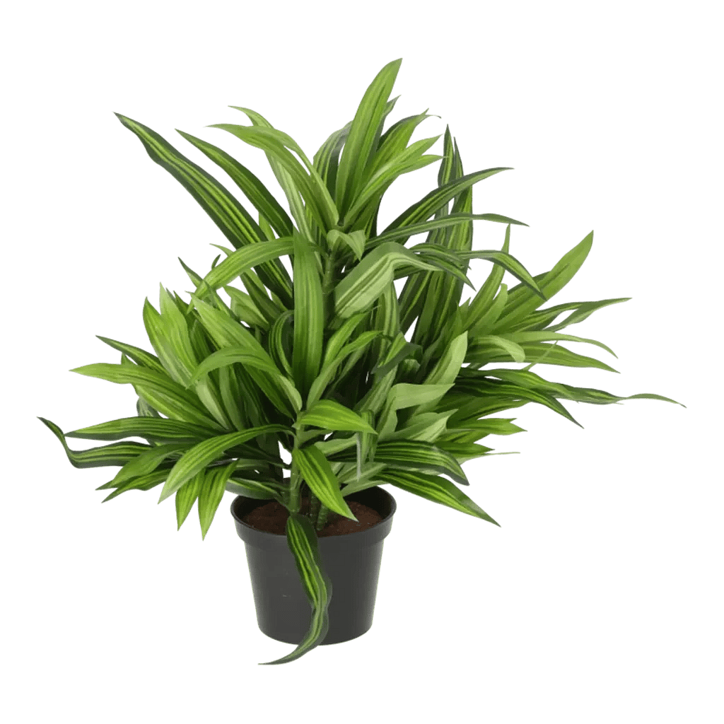 Kunstig Dracena H: 34 cm.