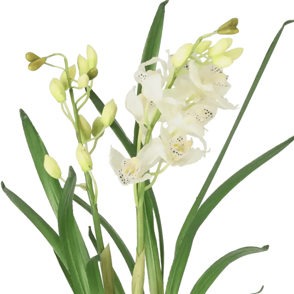 Closeup af Kunstig Cymbidium H: 68 cm.
