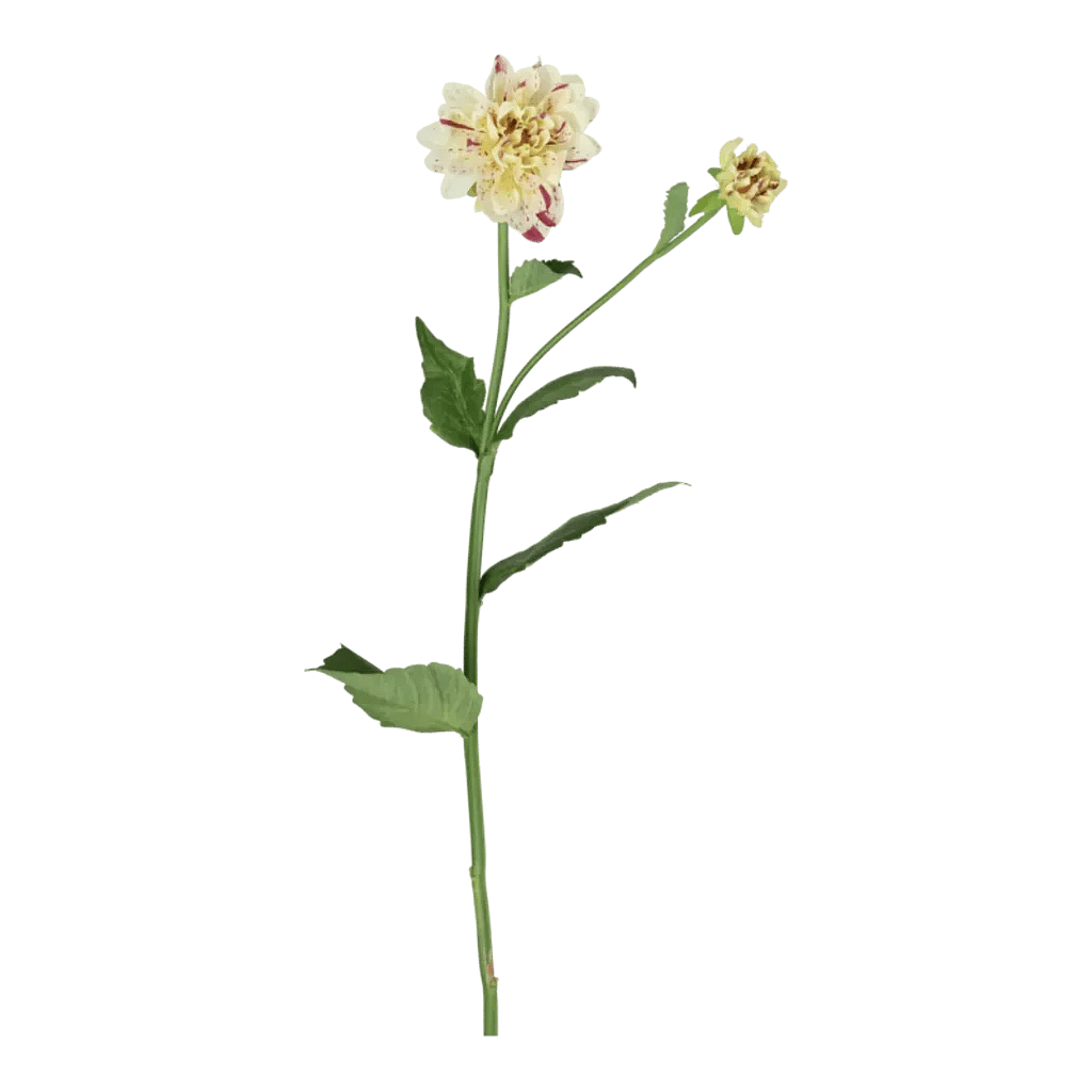 Kunstig hvid/lilla Dahlia stilk - L: 65 cm.