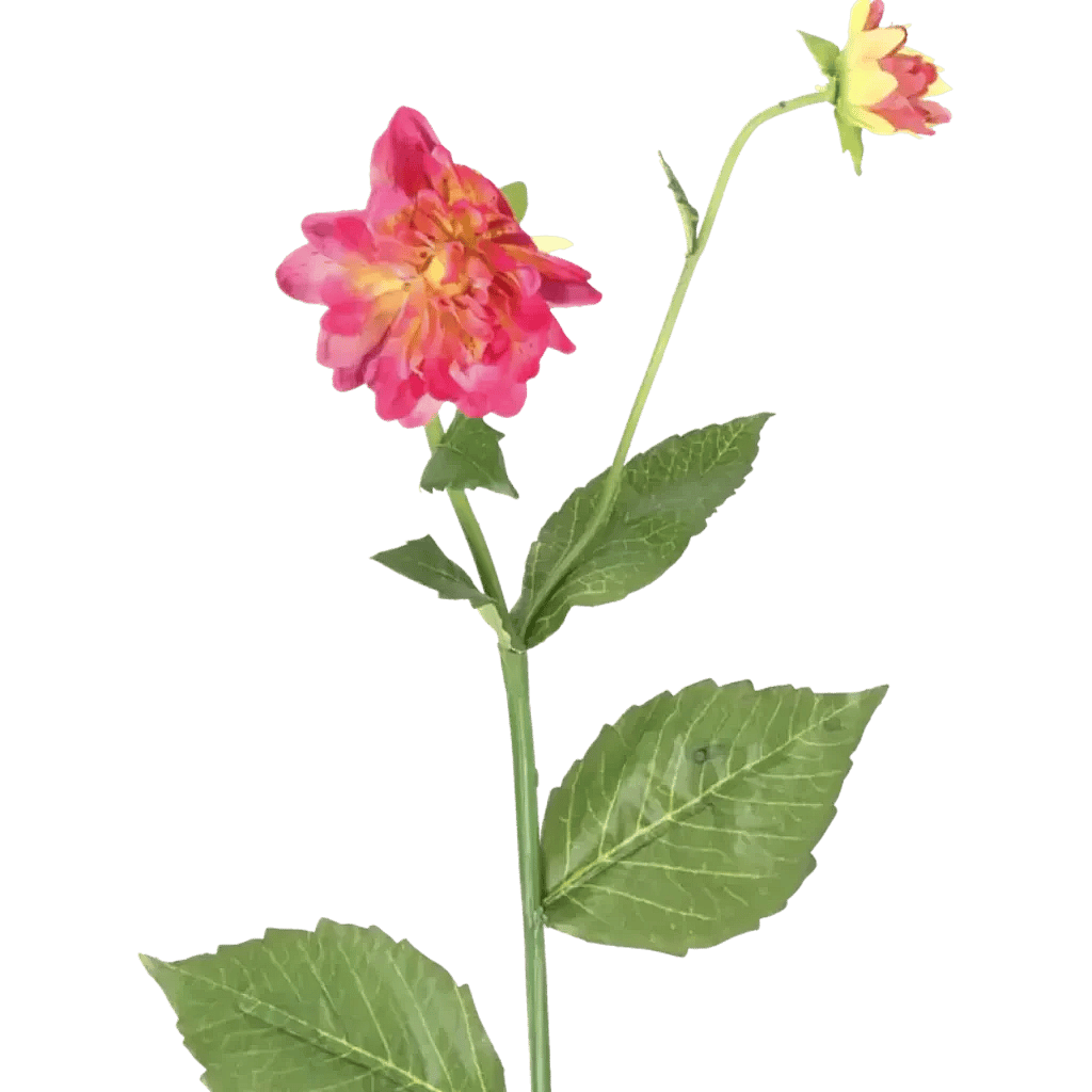Closeup af Kunstig lyserød Dahlia stilk - L: 65 cm.