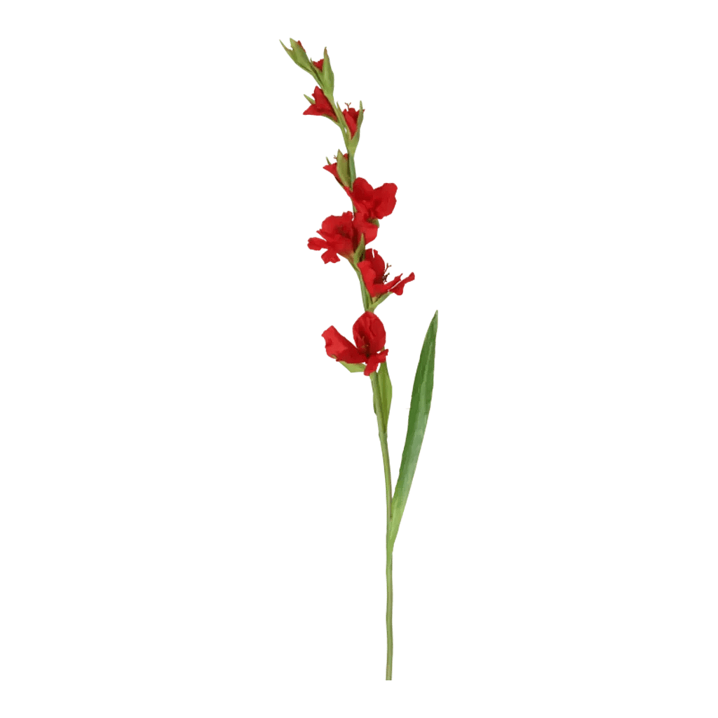 Kunstig Gladiolus L: 100 cm.