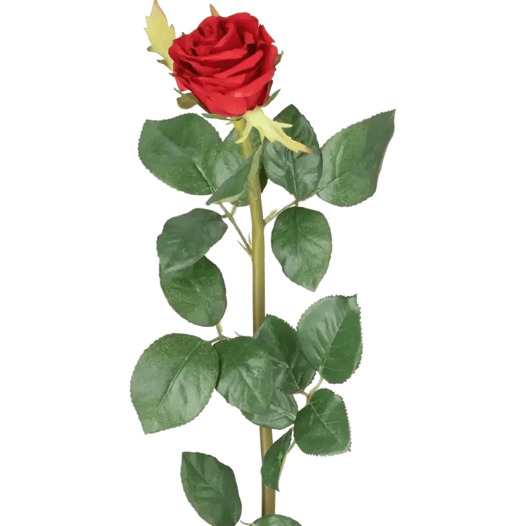 Closeup af Kunstig Rose stilk i rød - L: 65 cm.