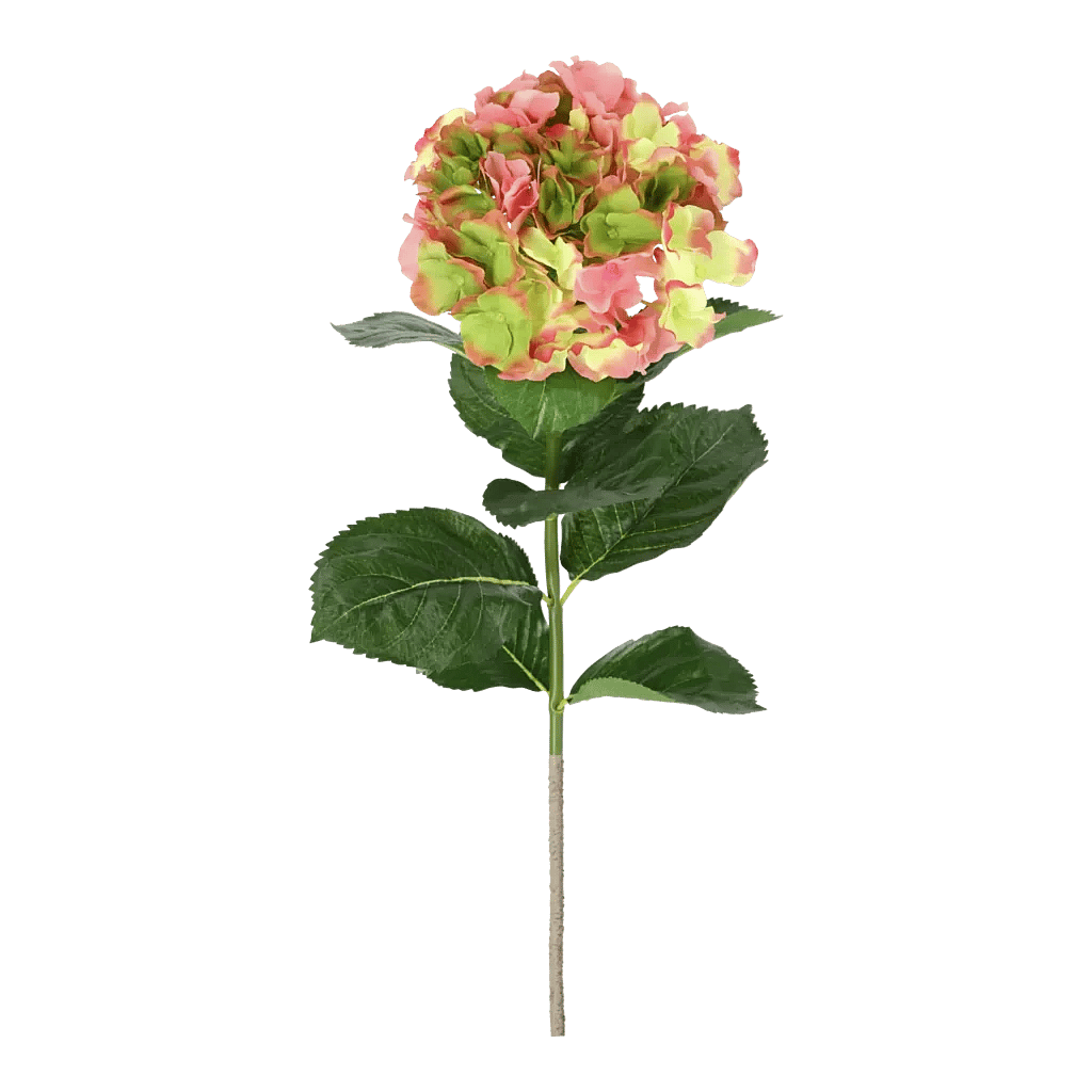 Kunstig hortensia stilk i lyserød/lime - L: 50 cm.