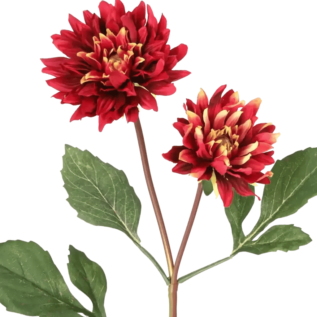 Closeup af Kunstig vinrød Dahlia stilk - L: 55 cm.