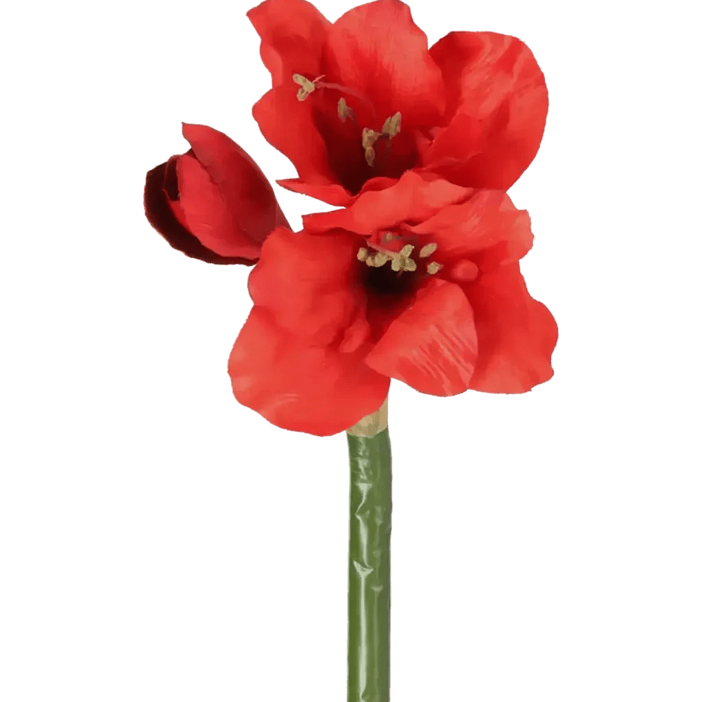 Closeup af Kunstig Amaryllis stilk rød L: 60 cm.