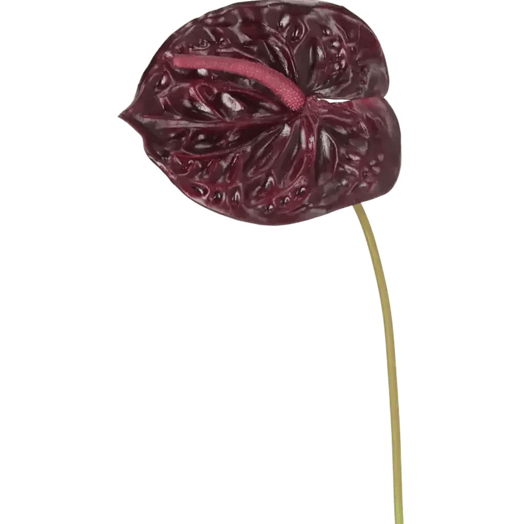 Closeup af Kunstig Anthurium L: 67 cm.