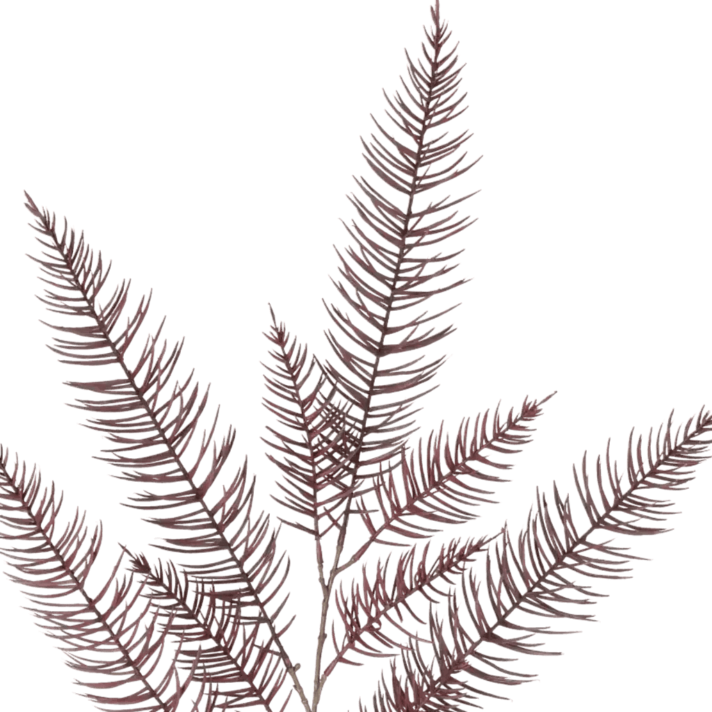 Closeup af Kunstig vinrød Asparagus gren L 120 cm.