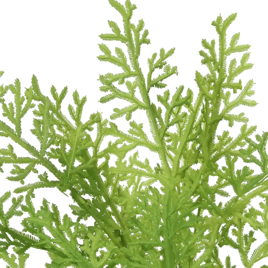 Closeup af Kunstig Thuja H: 54 cm.