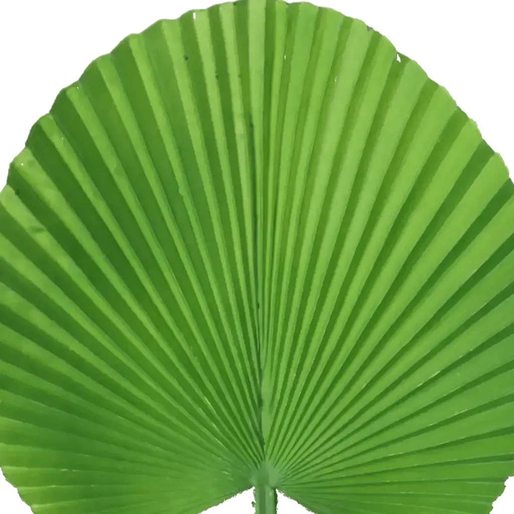 Closeup af Kunstig Palmeblad L: 55 cm.