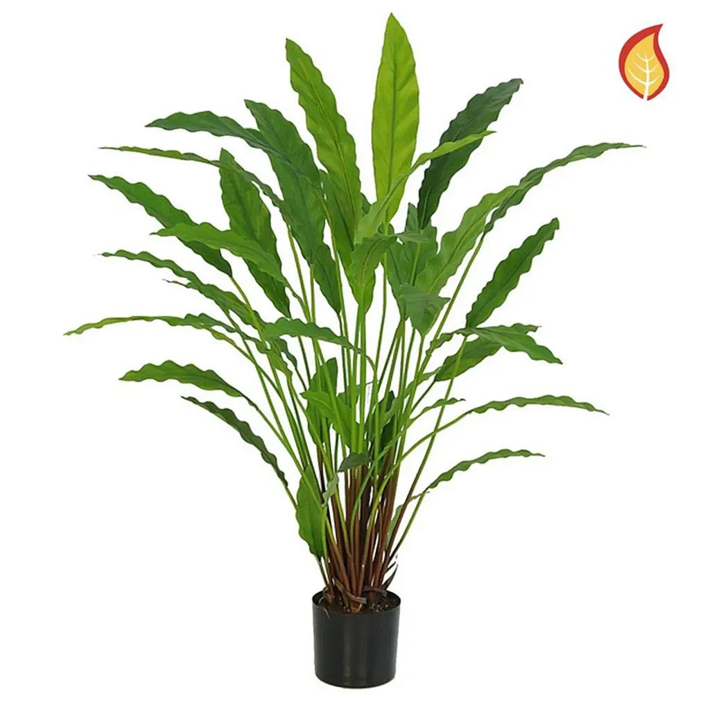 Kunstig Calathea FR H: 77 cm.