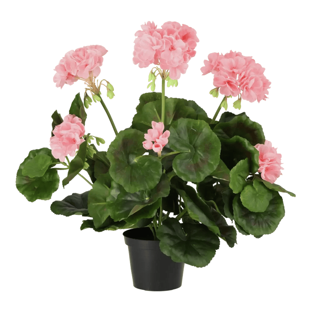 Kunstig pelargonie lyserød - H: 35 cm.