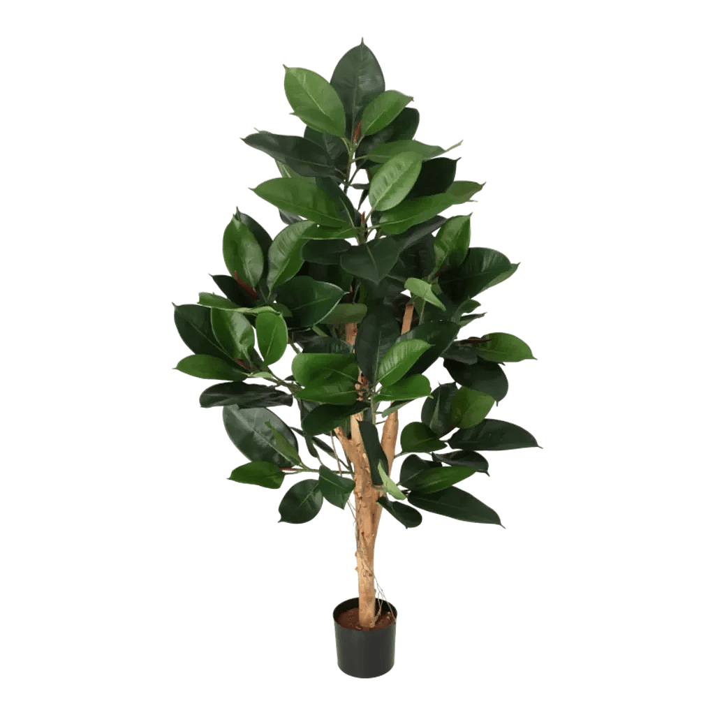 Kunstig gummiplante træ - H 120 cm.