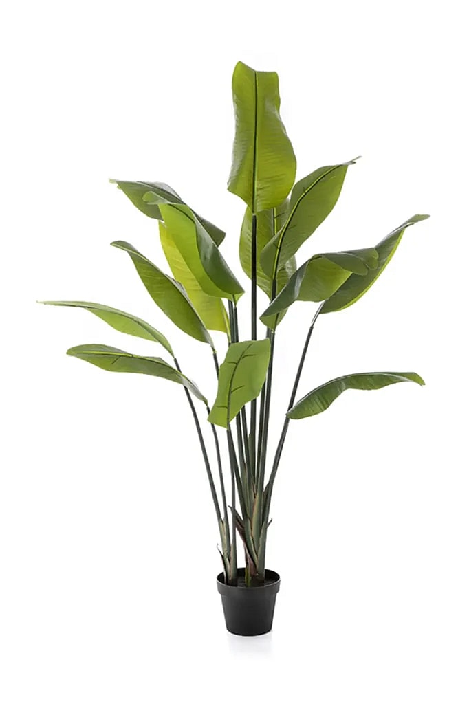 Kunstig Strelitzia - H: 150 cm.